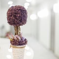 Гостиница Фарфалле, Москва, Московская область