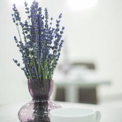 Гостиница Фарфалле, Москва, Московская область