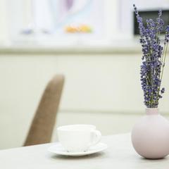 Гостиница Фарфалле, Москва, Московская область