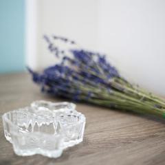 Гостиница Фарфалле, Москва, Московская область