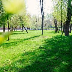 Отель Буран, Москва, Московская область