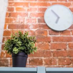 Хостел Jolly, Москва, Московская область