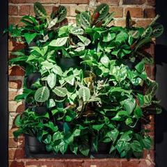 Отель Winewood Moscow Lounge, Москва, Московская область