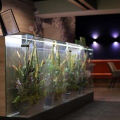 Гостиница ГородОтель на Ленинградском, Москва, Московская область