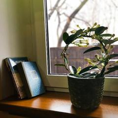 Хостел На чемоданах, Москва, Московская область