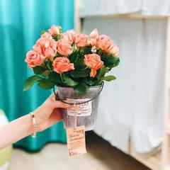 Хостел Найс Курская, Москва, Московская область