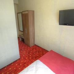 Отель Бутик-Отель Пан Чемодан, Москва, Московская область