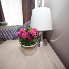 Хостел Sweet Dreams, Москва, Московская область