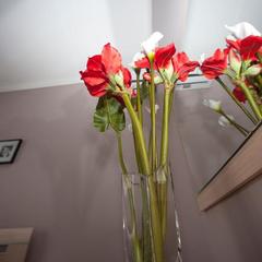 Хостел Sweet Dreams, Москва, Московская область