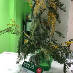 Хостел HotelHot Бауманская, Москва, Московская область