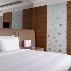 Отель Рэдиссон Блу Олимпийский, Москва, Московская область