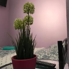 Хостел Добрин, Москва, Московская область