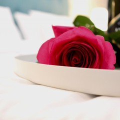 Гостиница Library, Москва, Московская область