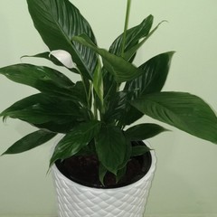 Хостел Милан на Павелецкой, Москва, Московская область