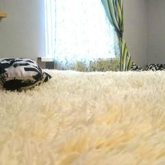 Хостел Автограф, Москва, Московская область