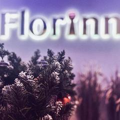 Отель Florinn, Москва, Московская область