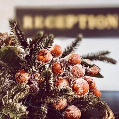 Отель Florinn, Москва, Московская область