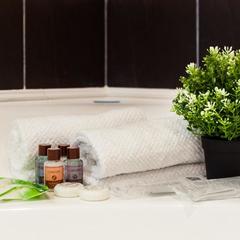 Отель Florinn, Москва, Московская область