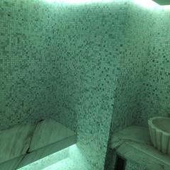 Отель Ribella, Москва, Московская область