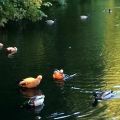 Отель Династия Лефортово, Москва, Московская область