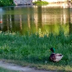 Отель Династия Лефортово, Москва, Московская область