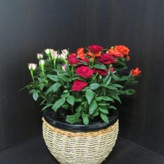 Мини-отель МАК, Москва, Московская область