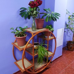 Хостел Disco, Москва, Московская область