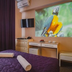 Отель Ring Road, Москва, Московская область