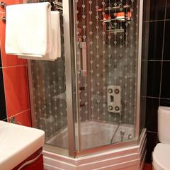 Отель Romani, Москва, Московская область