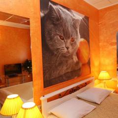 Отель Romani, Москва, Московская область