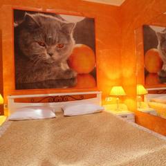 Отель Romani, Москва, Московская область