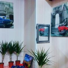 Хостел Glade, Москва, Московская область