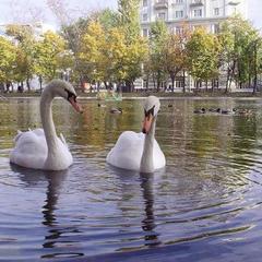 Хостел Glade, Москва, Московская область