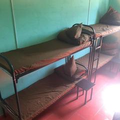 Хостел Вежливый Лось на Бунинской аллее, Москва, Московская область