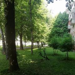 Хостел Тандем, Москва, Московская область