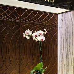 Апарт-отель Diamond, Москва, Московская область