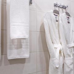 Отель Мансилион, Москва, Московская область