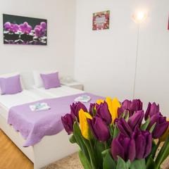 Отель Сад 3, Москва, Московская область