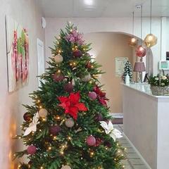 Отель Amarena Hotel, Москва, Московская область