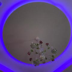 Отель Компас, Москва, Московская область