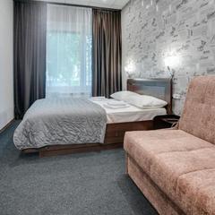 Отель Ладомир на Зельевом, Москва, Московская область