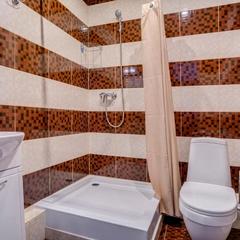 Отель Ладомир на Зельевом, Москва, Московская область