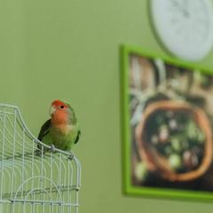 Отель Олива, Москва, Московская область