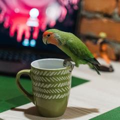 Отель Олива, Москва, Московская область