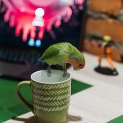 Отель Олива, Москва, Московская область