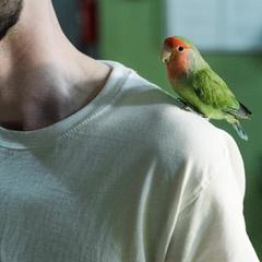 Отель Олива, Москва, Московская область