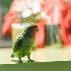 Отель Олива, Москва, Московская область