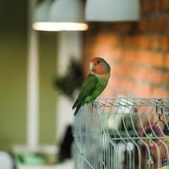 Отель Олива, Москва, Московская область