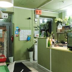 Отель Олива, Москва, Московская область