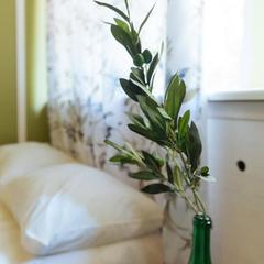 Отель Олива, Москва, Московская область